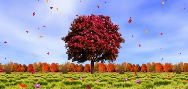 Autumn-trees-live-wallpaper.jpg