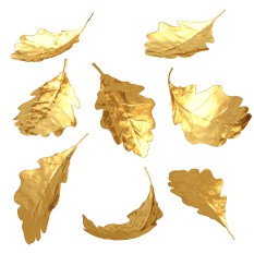 FreeGreatPicture.com-24340-d-high-definition-picture-golden-leaves.jpg
