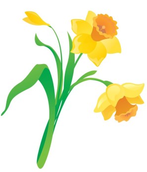 cartoon-daffodil-vector-2226795.jpg